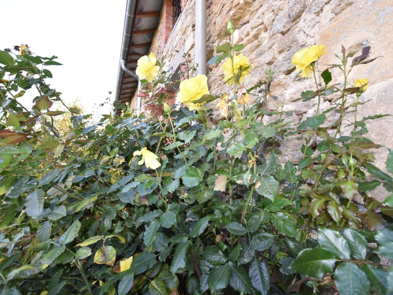 Spacious Holiday Home Near The Forest Barricourt Εξωτερικό φωτογραφία